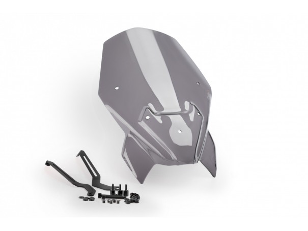 Owiewka PUIG do BMW F900R 20-24 (do org. wspornika szyby BMW) | PUIG.pl