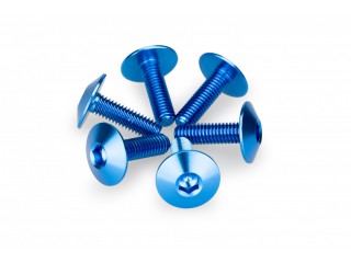 Anodyzowane śrubki PUIG do szyb i owiewek (M6x20, fi 16,9 mm, 6 szt.) | PUIG.pl