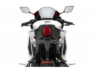 Fender eliminator PUIG do... 2